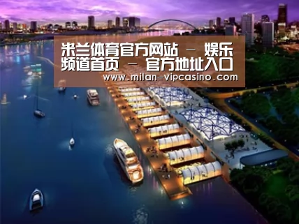 案例展示八