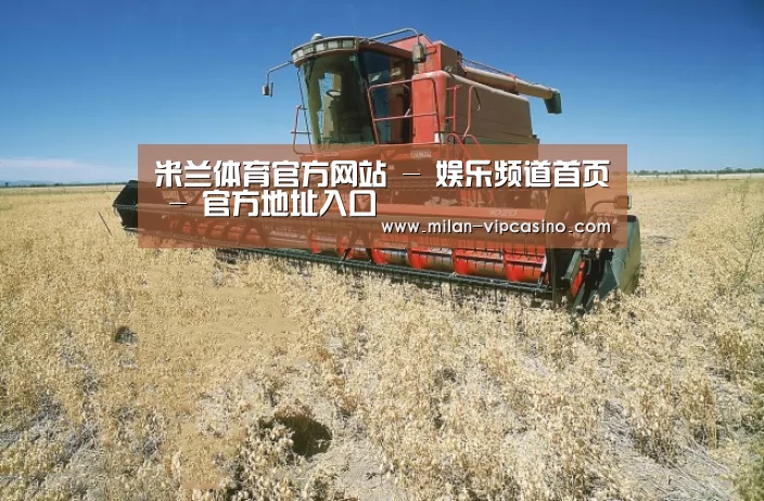 产品名称三