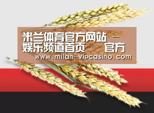 米兰体育官方网站 - 娱乐频道首页 - 官方地址入口