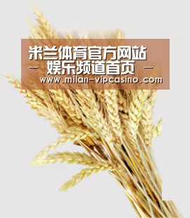 米兰体育官方网站 - 娱乐频道首页 - 官方地址入口