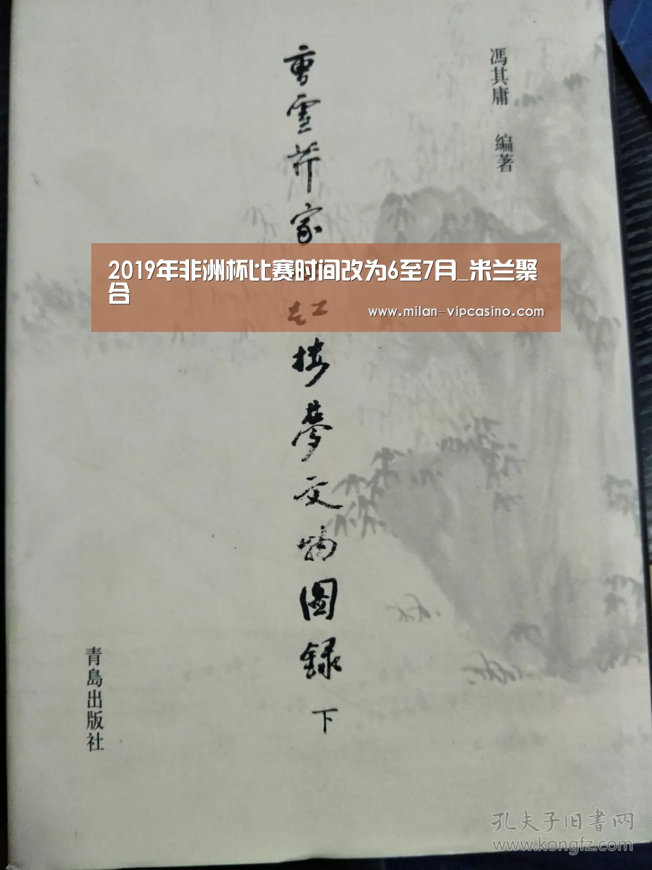 2019年非洲杯比赛时间改为6至7月_米兰聚合(图1) 米兰直播