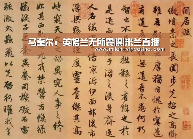 马奎尔:英格兰无所畏惧|米兰直播(图1) 米兰聚合