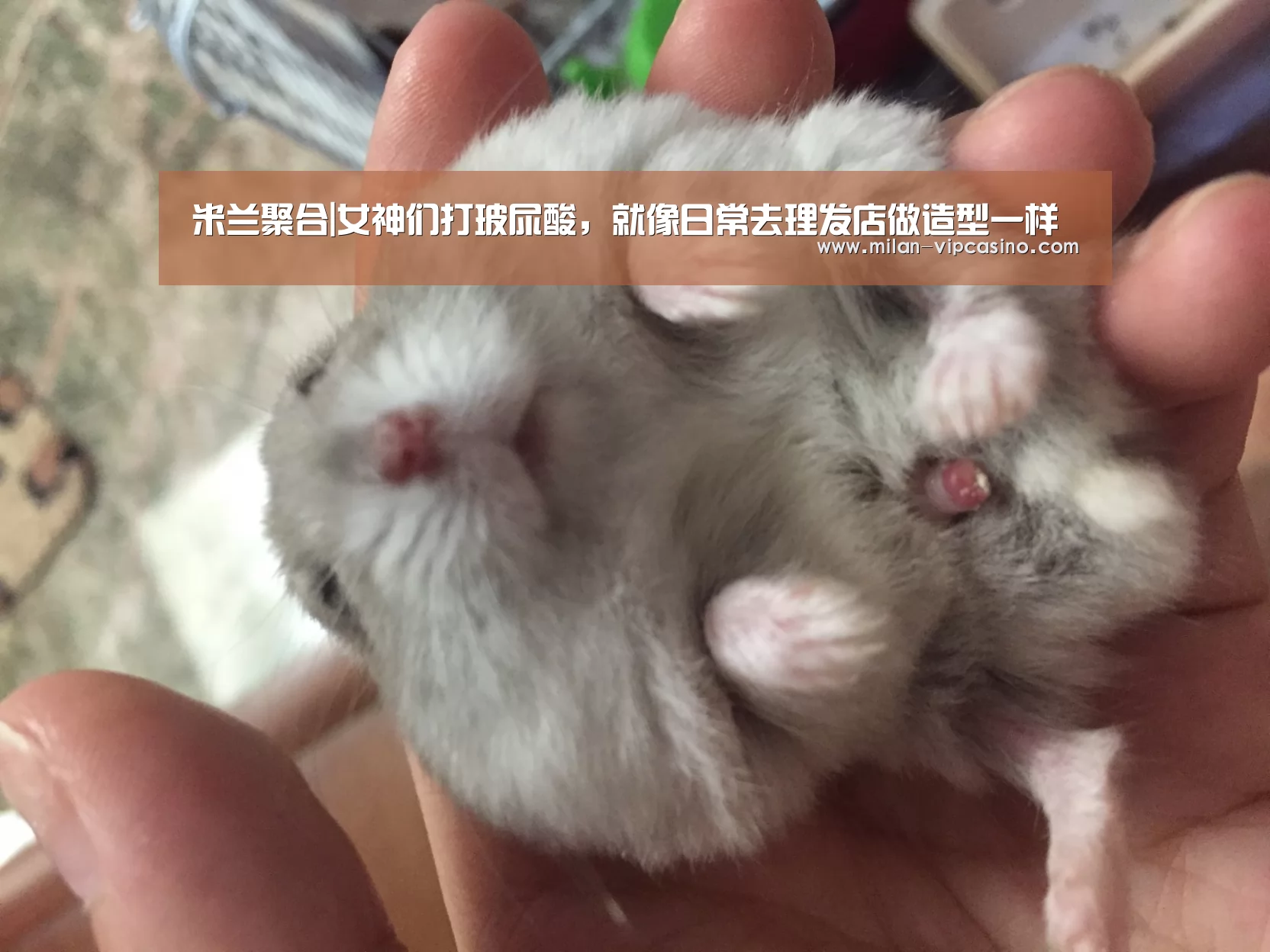 米兰聚合|女神们打玻尿酸,就像日常去理发店做造型一样(图2) 米兰平台