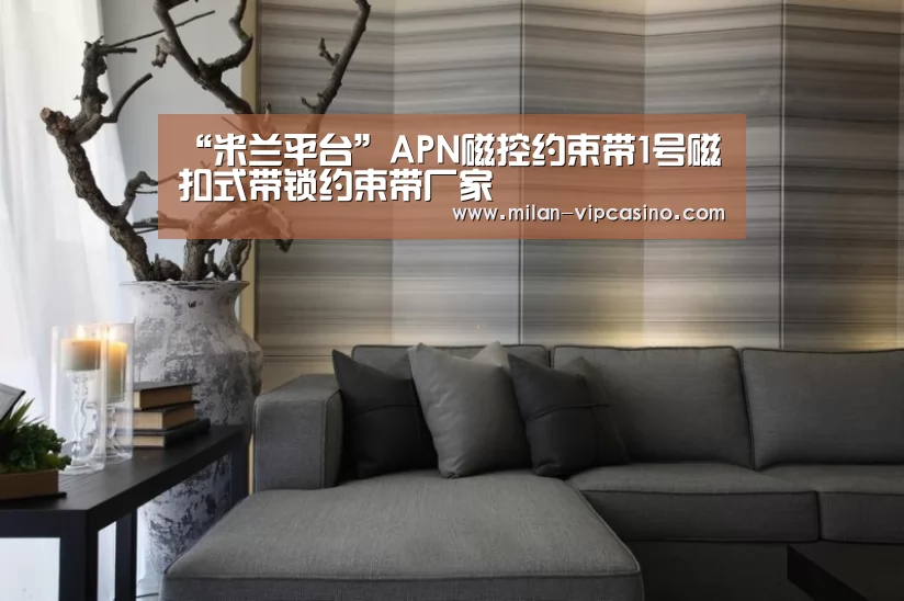“米兰平台”APN磁控约束带1号磁扣式带锁约束带厂家(图3) 米兰APP