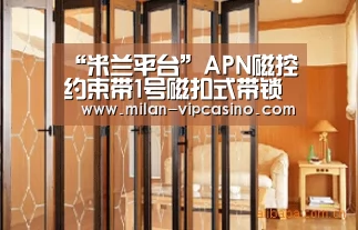 “米兰平台”APN磁控约束带1号磁扣式带锁约束带厂家(图2) 米兰平台